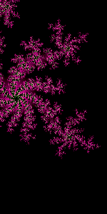 fractal